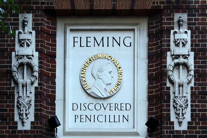 Alexander Fleming Penicllin